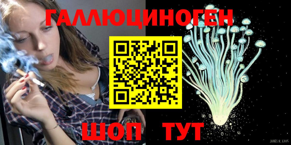 Галлюциногенные грибы Psilocybe  Вход с VPN  Осинники 