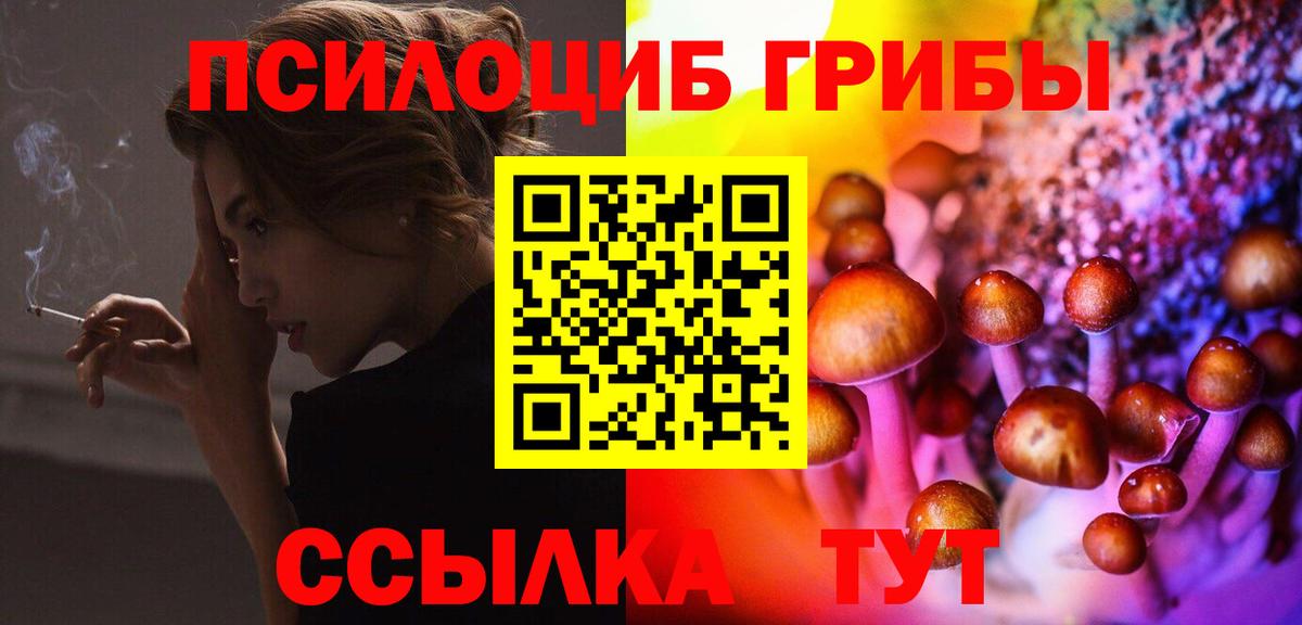 Галлюциногенные грибы прущие грибы Осинники